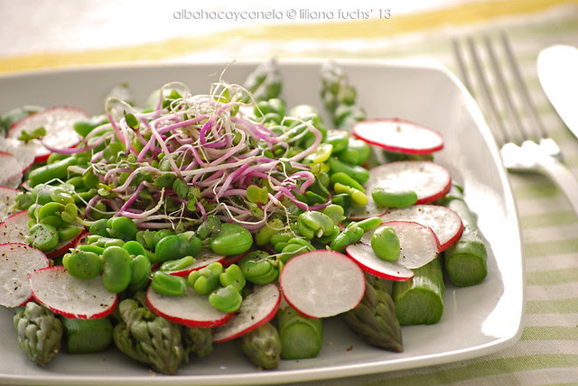 Spring salad with sprouts