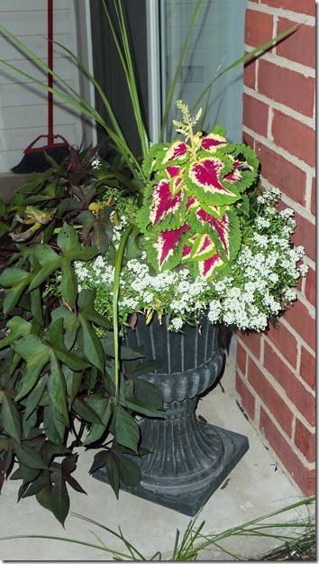 07-30-2017 GW13 (18)