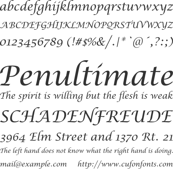 Crella Lucida Handwriting Font Copy Paste Compatible with Cameo Silhouette Studio, Cricut and other cutting machines for any crafting projects.