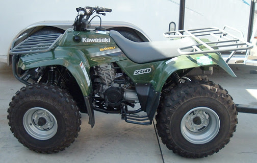 Kawasaki Bayou 250 Pictures 2010