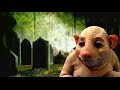 تعرف على الرجل الذي سيسخط خنزير داخل قبره  