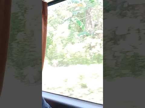 चित्र