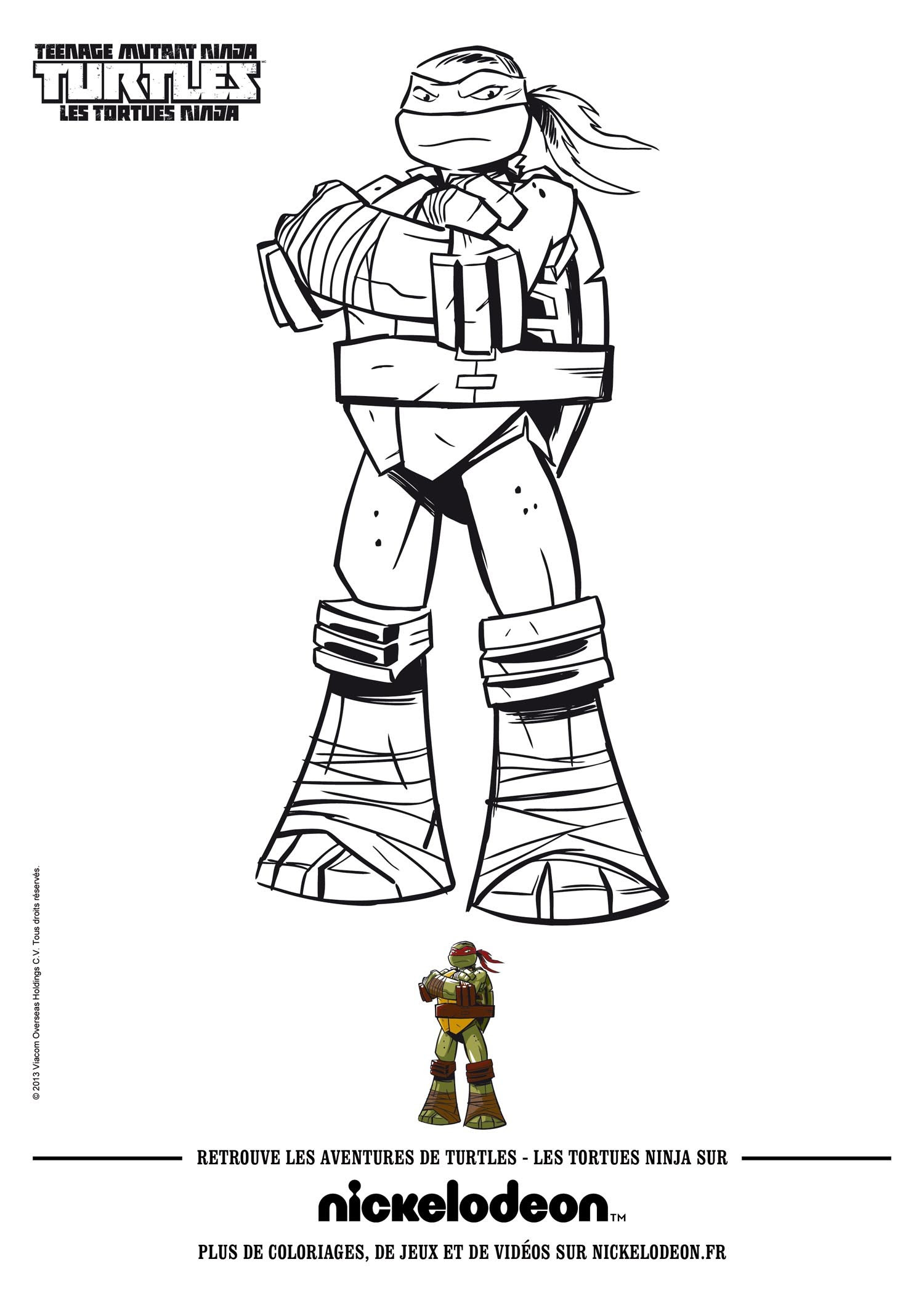Tortues Ninja Donatello Donatello Raphael