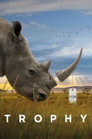 Trophy full movie hd online complete 1080p box office download 2017
putlocker vip