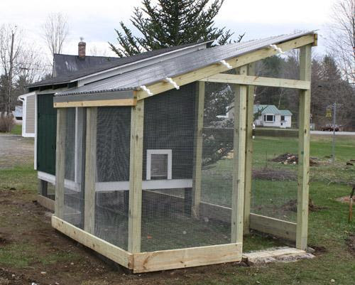 new-hampshire-coop-and-run - BackYard Chickens Community