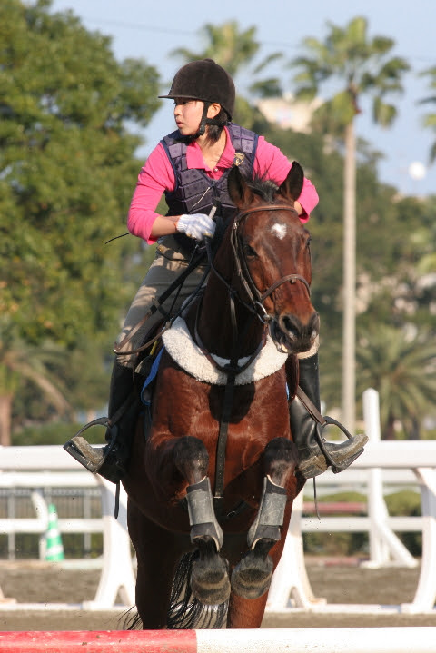 馬術競技 のブログ記事一覧 南九州の馬物語