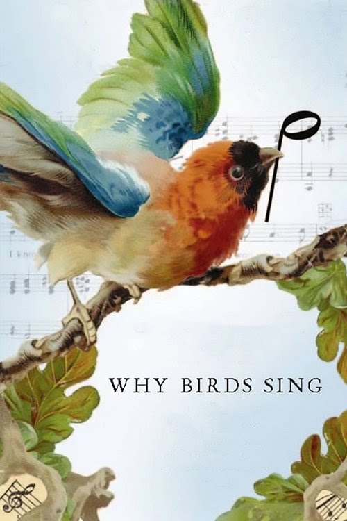 Why Birds Sing Magyarul Videa Néz Online Streaming Teljes Magyar
Előzetes UHD 2007 Filmek-HU