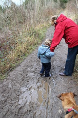 Walk on Box Hill 2012