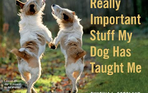 Download PDF Online Really Important Stuff My Dog Has Taught Me Prime Reading PDF