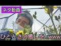 [10000印刷√] 仕事 癒し 170675-仕事 癒し 彼氏