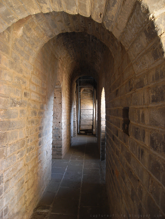 2010_1206_103955ORz