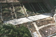 aerial