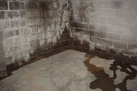 Ok, so your basement floor drain is backing up. Water Proofing Basement | Basement Waterproofing Costs