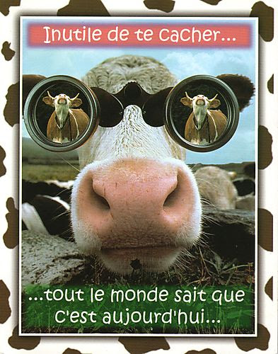 Joyeux Anniversaire Bianca Jones