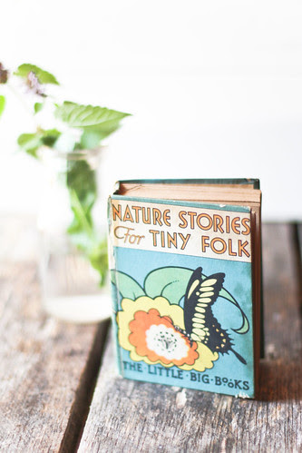 [177/365] nature stories for tiny folk
