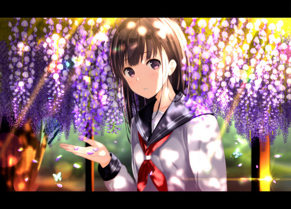 藤の木漏れ日 Pixiv年鑑 B