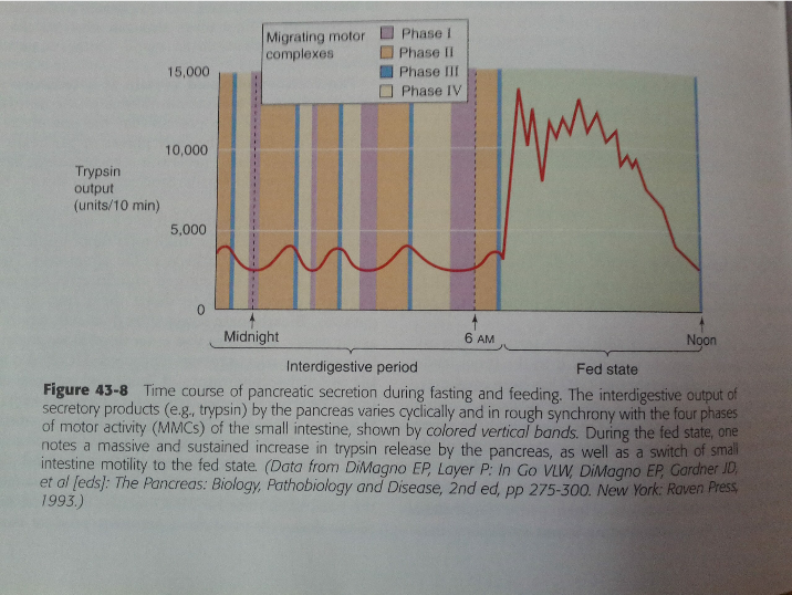 Secretion rates during 24 hour period