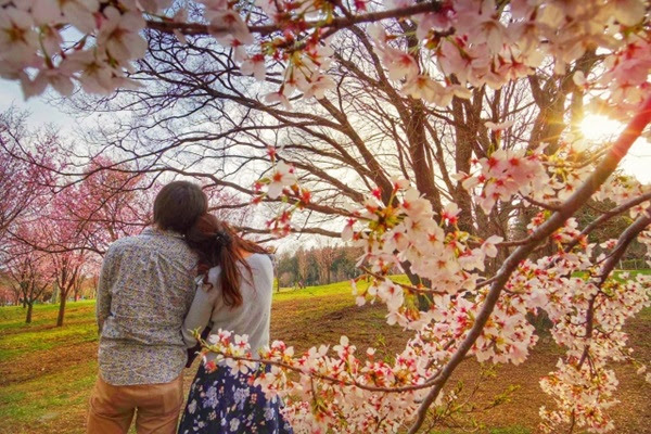 片思いの男性とお花見デートの服装で注意したいポイント５つ 片思いを成就する方法