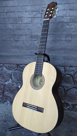 Gitar Akustik - Toko Gitar 15