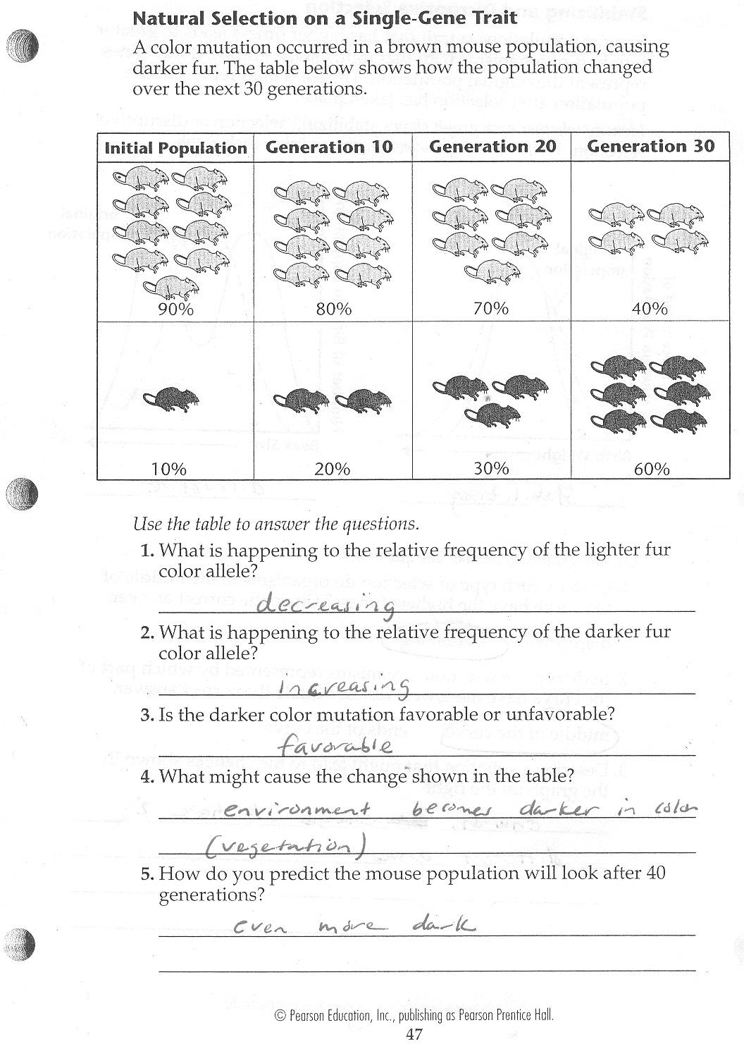 Student Exploration Natural Selection Answer Key Activity ...