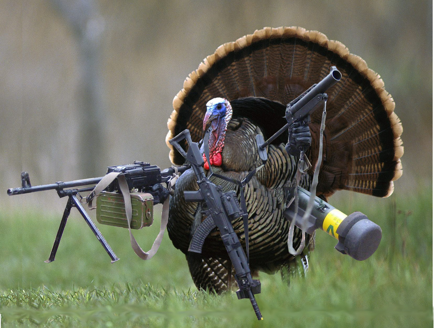 Turkey Archives - Joe's DumpJoe's Dump