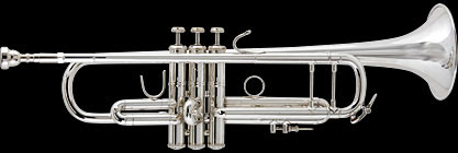 2ピース バルブケース 管楽器専門店 トランペット Groovin オンライン Trumpet 180ml37sp 限定モデル V Bach バック スペシャルエディション