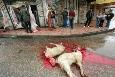 Muslims Sacrifice Animals on Eid-al-Adha – BelchSpeak