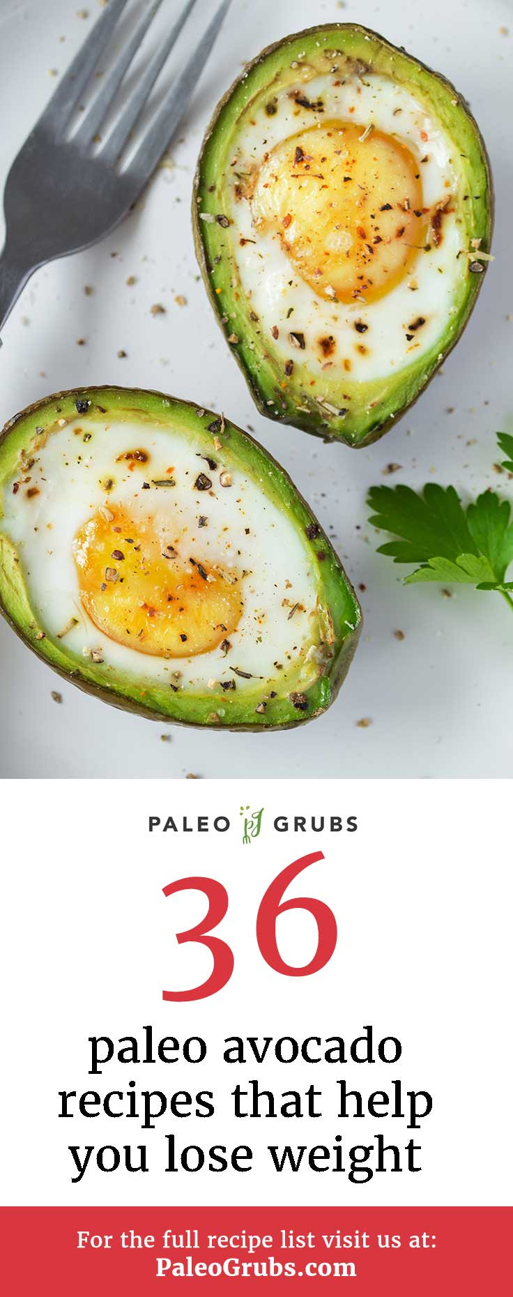 healthy indian recipes for weight loss with avocado