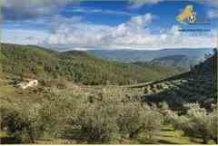 Propiedad Ecuestre, Finca en Siles Jaen