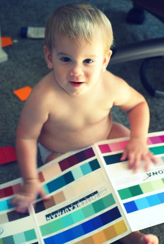 Steiger and the color card
