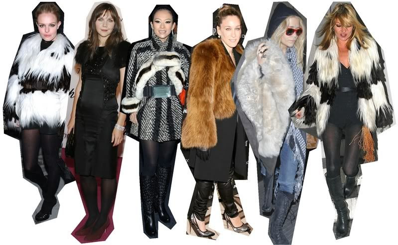 fur.jpg picture by yeahLAK