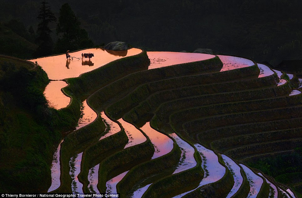 Sunset in Longji: Taken at the end of afternoon in a wonderful place called Longji rice field terrace in Guangxi Province