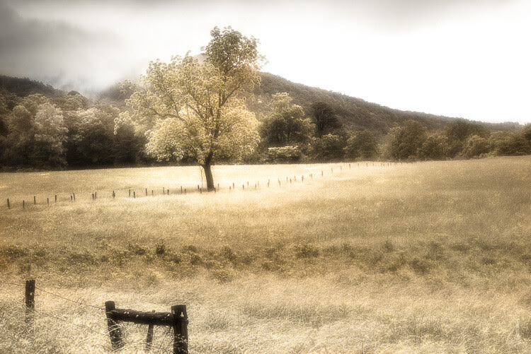 How to do a Quick and Easy Orton Effect in Photoshop