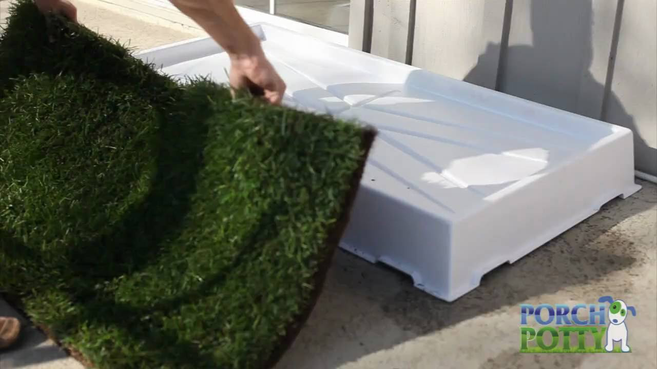Using Grass with the Porch Potty - Dog Potty - YouTube