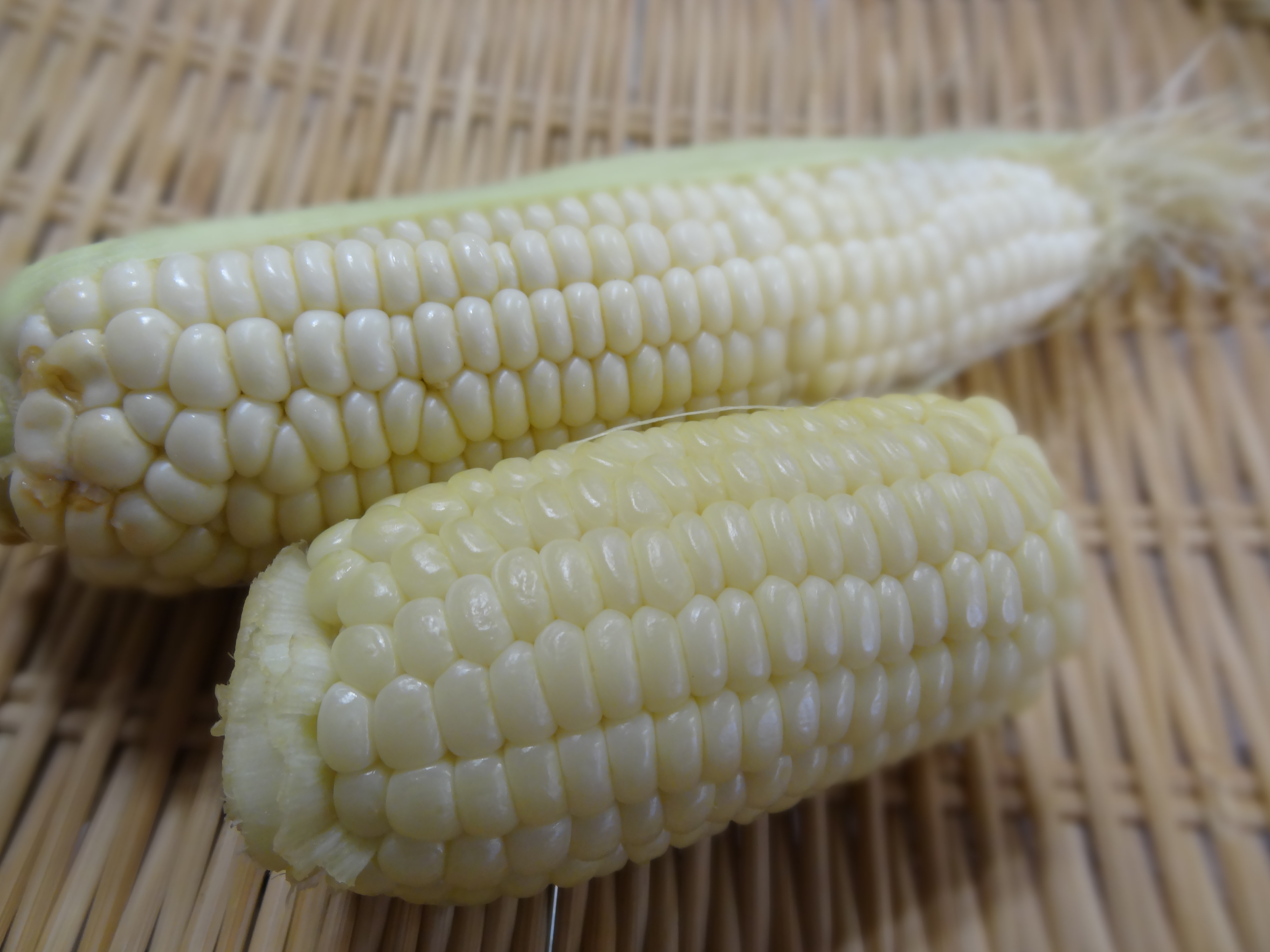 しろもちとうもろこし 自然村の美味しいブログ