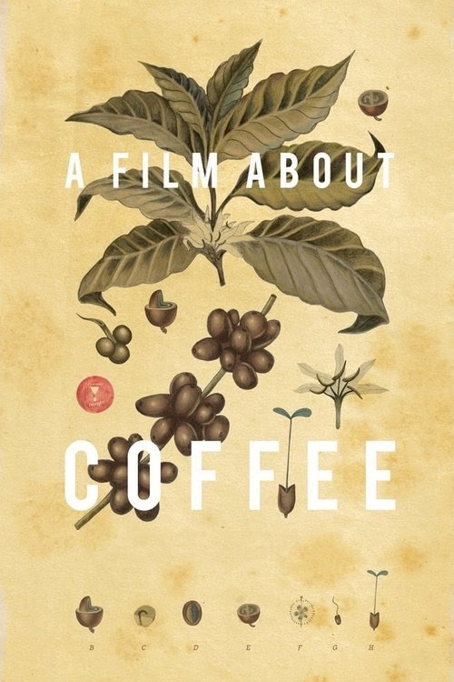 Film Kijken A Film About Coffee 2014 Nederlands Gesproken Kijken HD