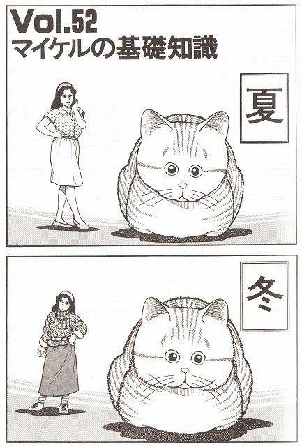 マイコ かおりさん