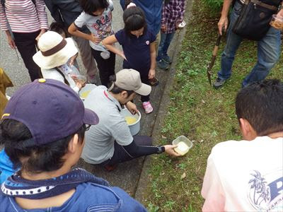 ミミズ学講座 ミミズの生態と採集法 栃木県立博物館公式ブログ