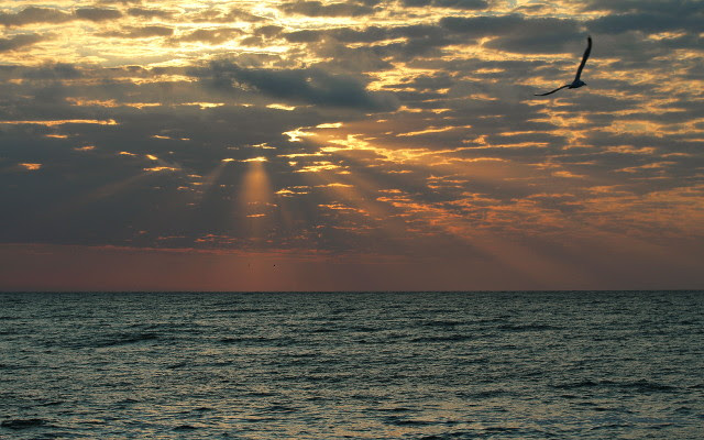 sea wallpaper