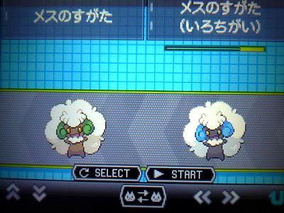 色モンメン B2 色ポケめも