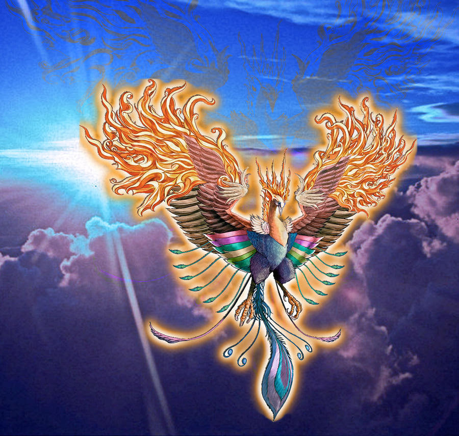 Fenix Bird Wallpaper