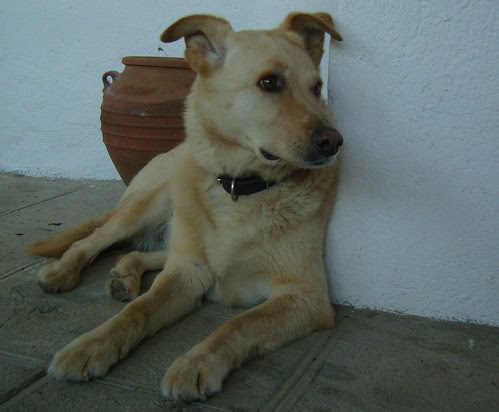 escagnes 018