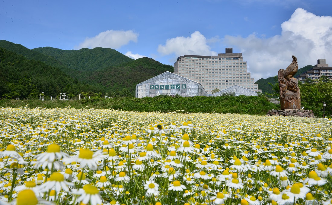 絶景 会津磐梯山 初夏の 五色沼 と猪苗代を訪ねる旅 福島県いわき市の旅行会社 ジェイ ケイ インフォメーション