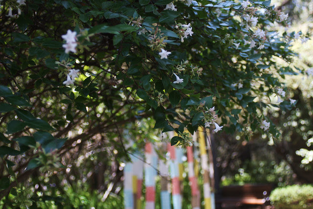Snap it Pretty!