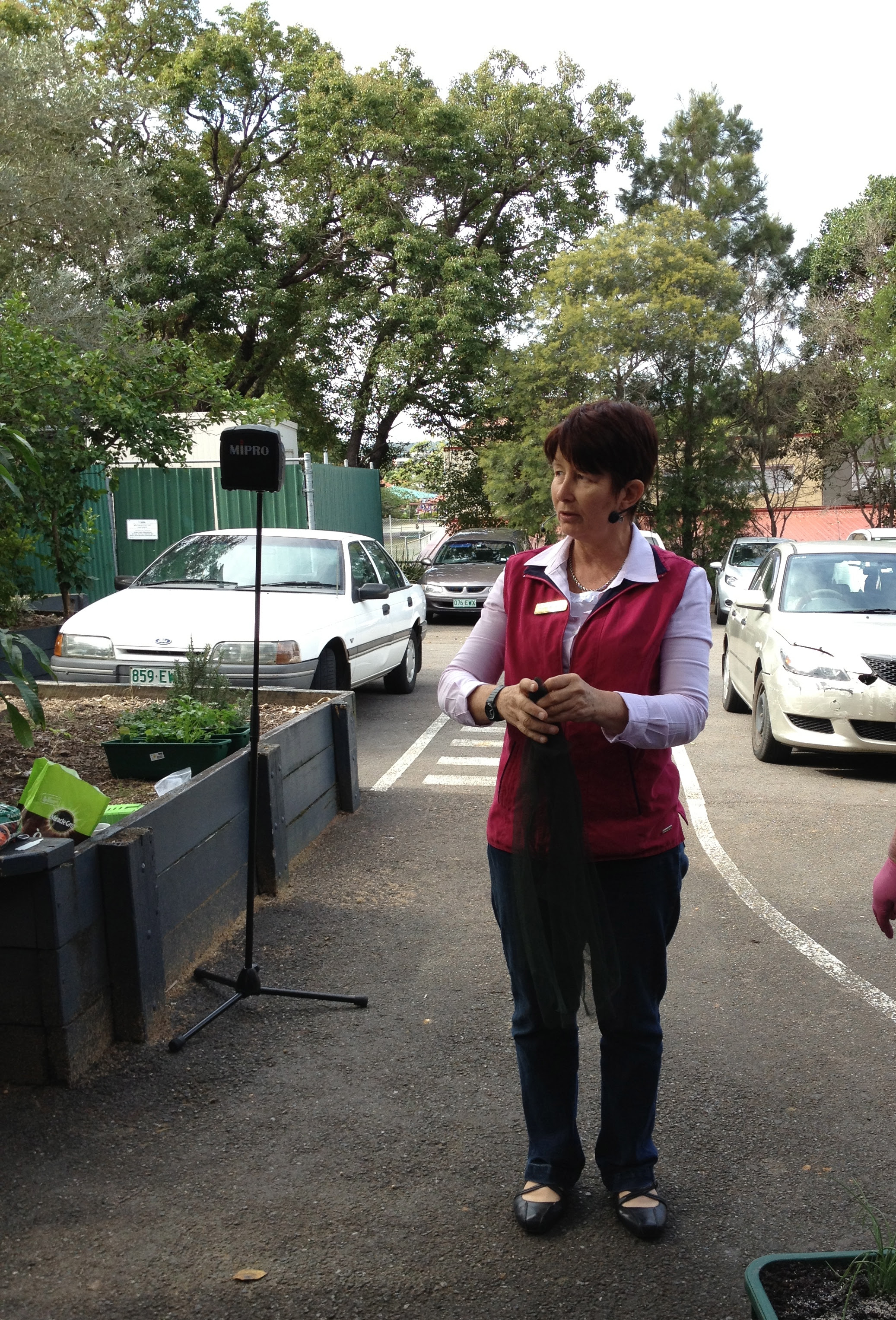 Create your own herb garden | Allotment Adventures with Jean
