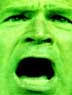 bushface