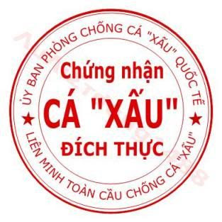 avatar chung nhan con dau By VnTim