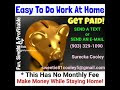 FUN SIMPLE PROFITABLE Direct Mail Order Online Internet Marketing Make Money Mailing FLYER Postcards