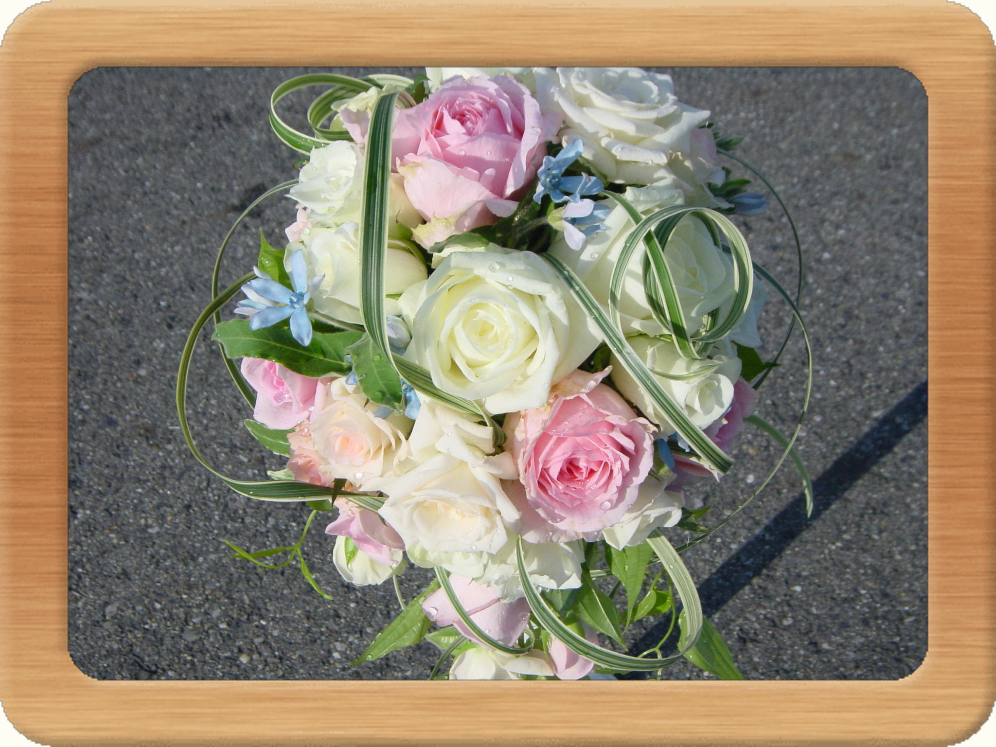 岐阜市のお花屋さん 美濃生花 お花の卸売り 小売をしております