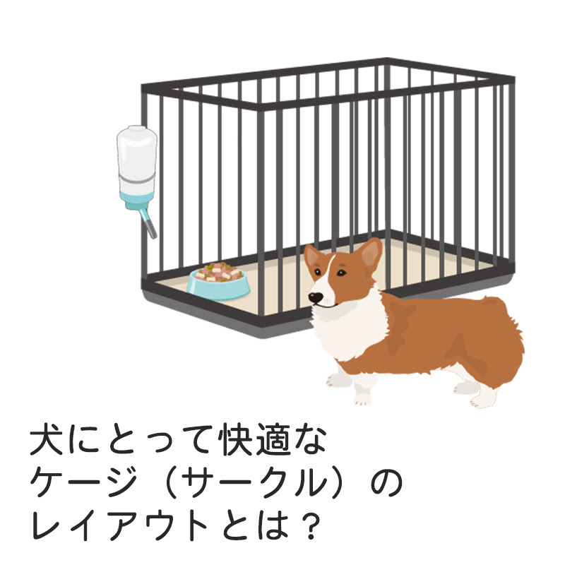 ドッグトレーナー監修 犬にとって快適なケージのレイアウトとは 必要なアイテムとおすすめ商品3選
